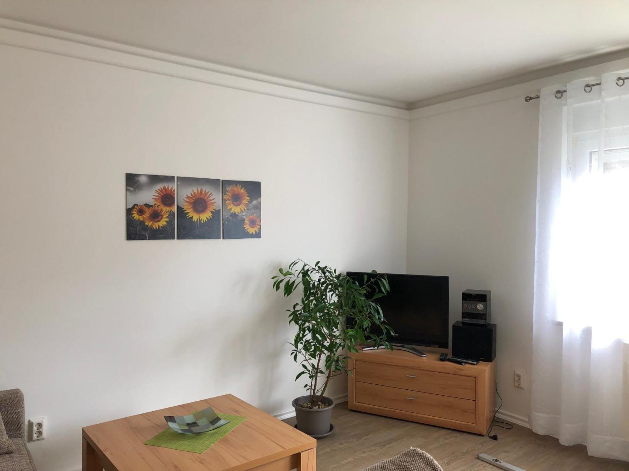 Ferienwohnung Harzquerbahnblick Benneckenstein Exterior foto